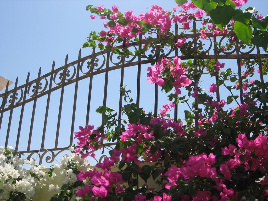Villa Shahrazad Hurghada Zewnętrze zdjęcie
